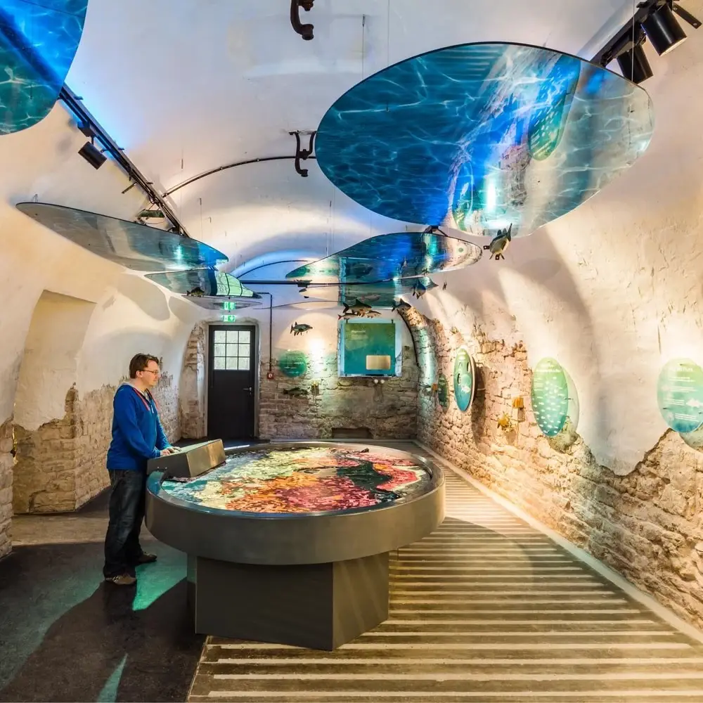 Ausstellung zur Auenlandschaft mit Deckenbild und Vitrine