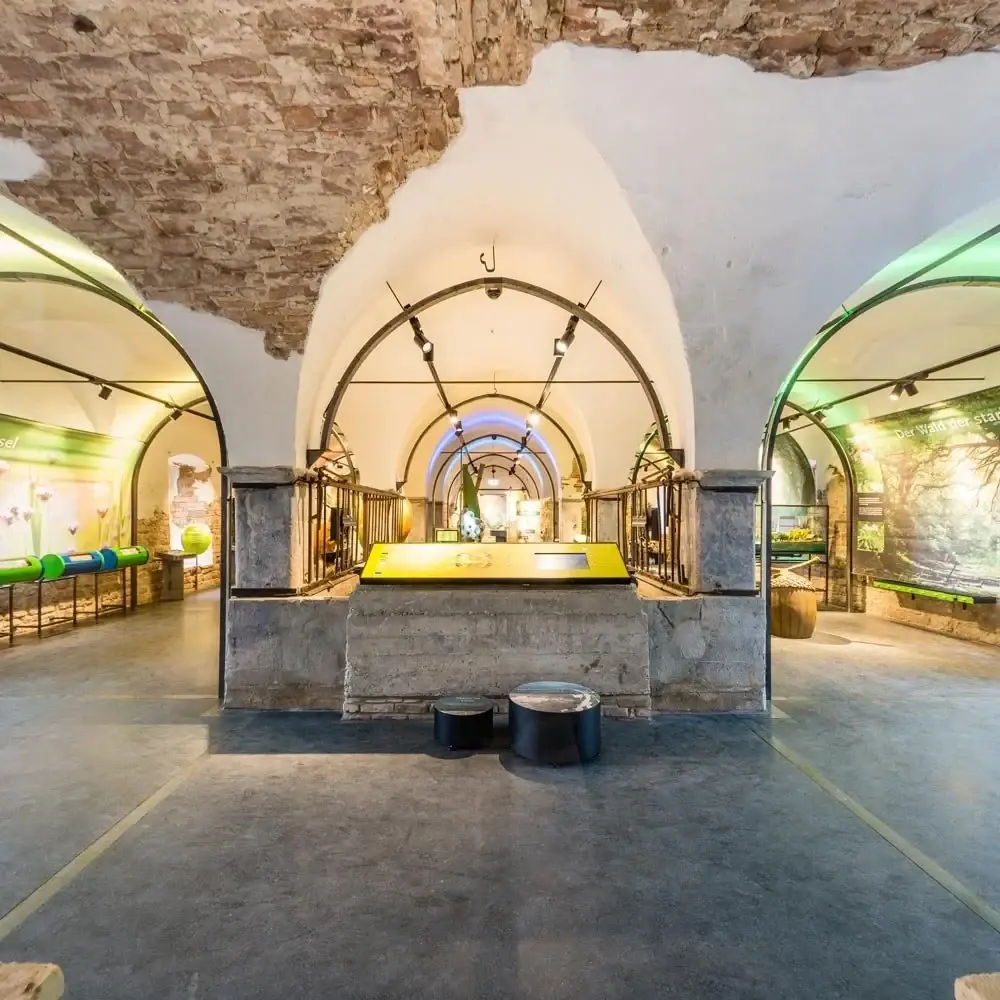 Ausstellung im Gewölbe des Nordflügels, eingebaute Vitrinen unter weißen Kappen