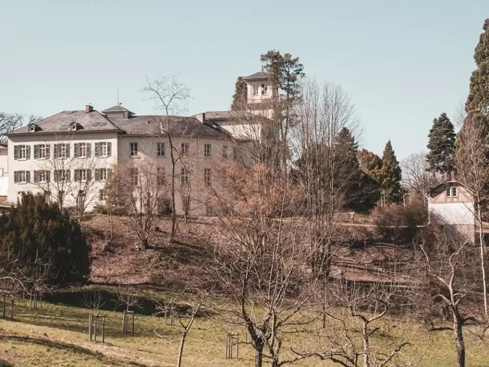 Schloss Heiligenberg auf dem Bergsporn über Jugenheim