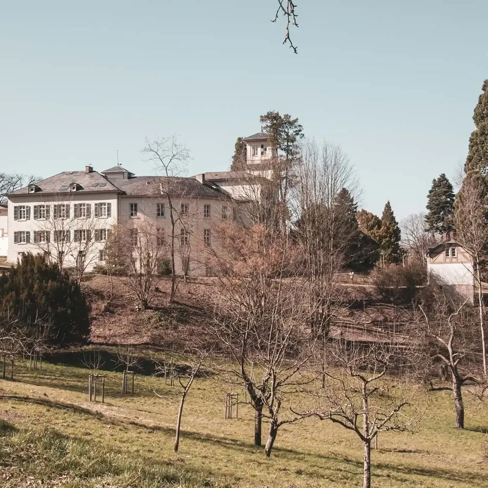 Schloss Heiligenberg auf dem Bergsporn über Jugenheim