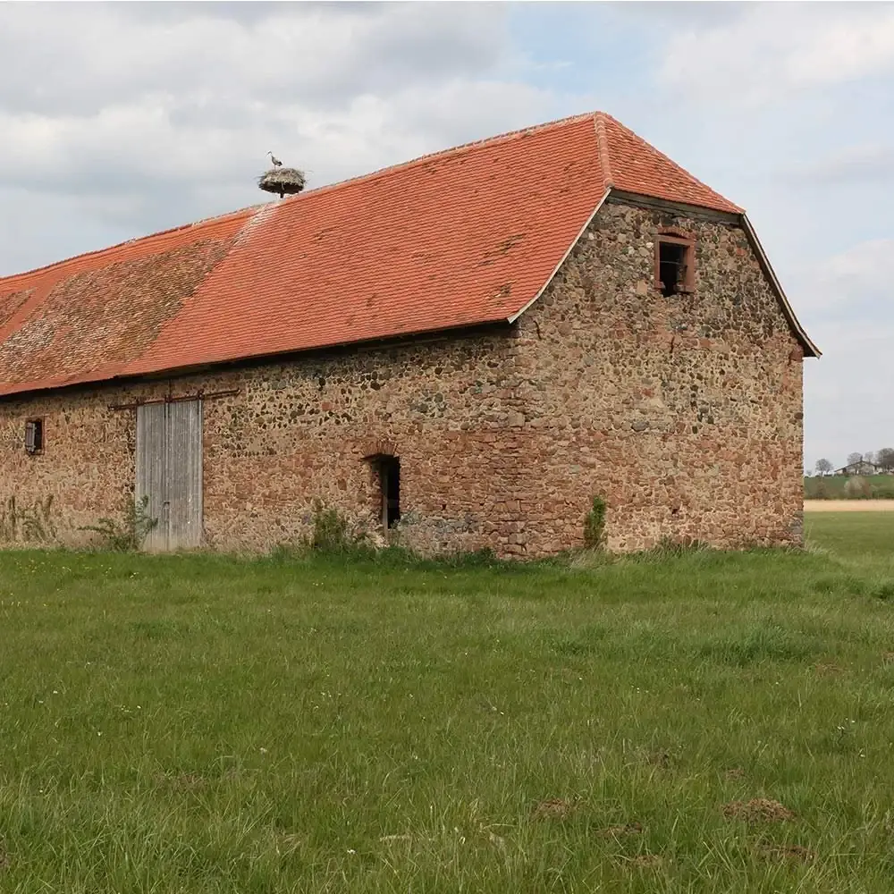 Teichscheune aus Bruchstein mit Ziegeldach auf einer Wiese bei Reinheim